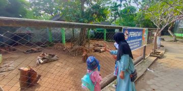 WISATA KELUARGA : Pengunjung Bersama Keluarga Berwisata di Kebun Binatang Taman Rimba